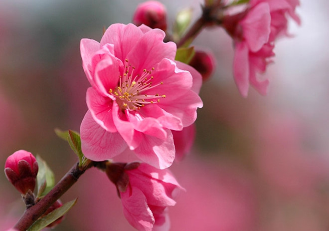 Thứ Ba của bạn (13/2): Sư Tử không nên nôn nóng Thứ Ba của bạn (13/2): Sư Tử không nên nôn nóng