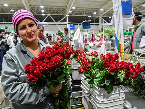 Valentine giải cơn khát việc làm cho người Colombia thất nghiệp