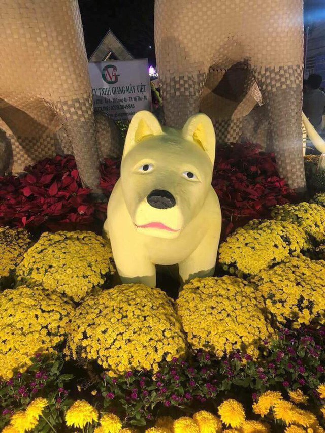 Chó con sầu buồn ở đường hoa hờn cả thế giới?