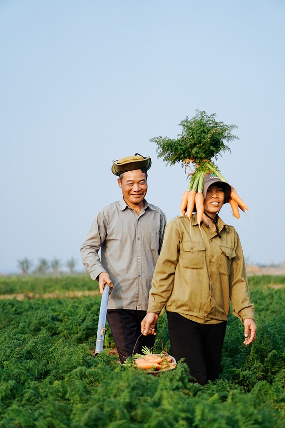 Bộ ảnh trên cánh đồng cà rốt của cặp vợ chồng nông dân gây sốt ngày 14/2