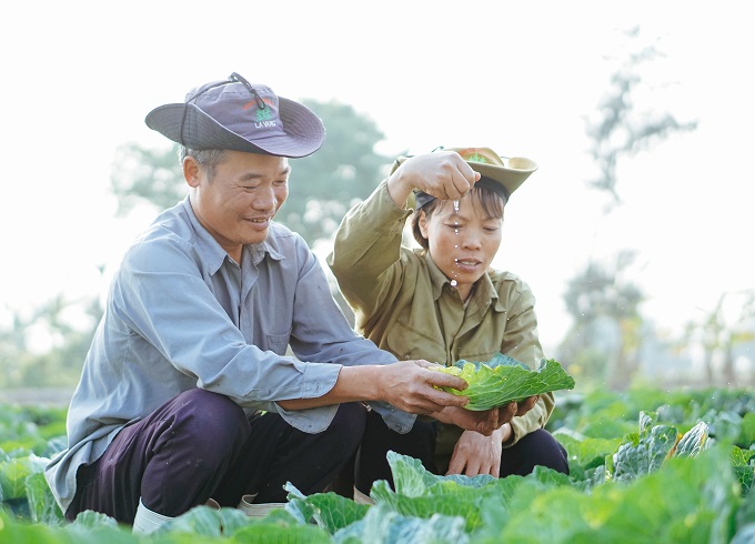 Bộ ảnh trên cánh đồng cà rốt của cặp vợ chồng nông dân gây sốt ngày 14/2