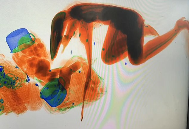 Dở khóc dở cười với người phụ nữ bất chấp trèo vào máy kiểm tra an ninh ở một nhà ga vì lý do không ai ngờ