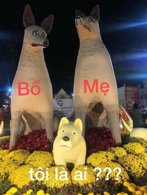 Chú chó mang bộ mặt hờn cả thế giới tại đường hoa ngày Tết Chú chó mang bộ mặt hờn cả thế giới tại đường hoa ngày Tết