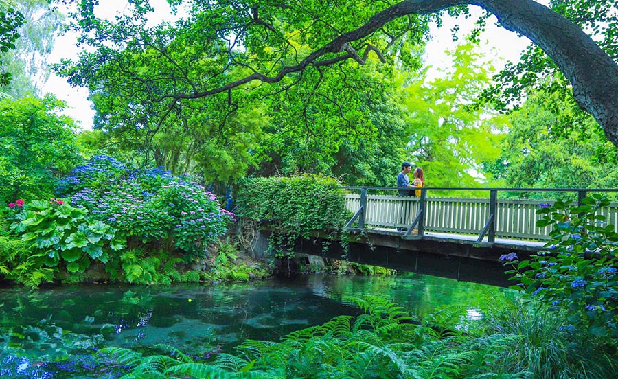 Vợ chồng MC Phan Anh từng viết đơn ly hôn?