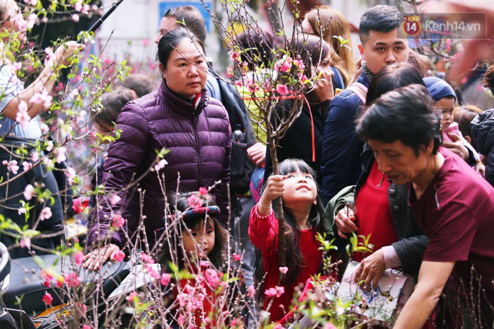 Chiều 29 Tết, người dân thủ đô đổ dồn về phố cổ để mua sắm và cảm nhận không khí Tết ngập tràn