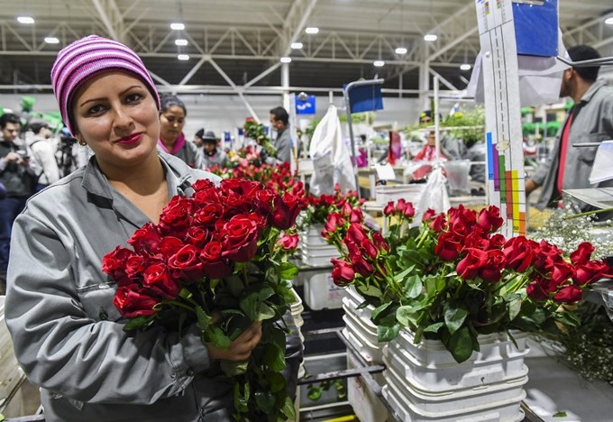 Không khí đón Valentine trên khắp thế giới