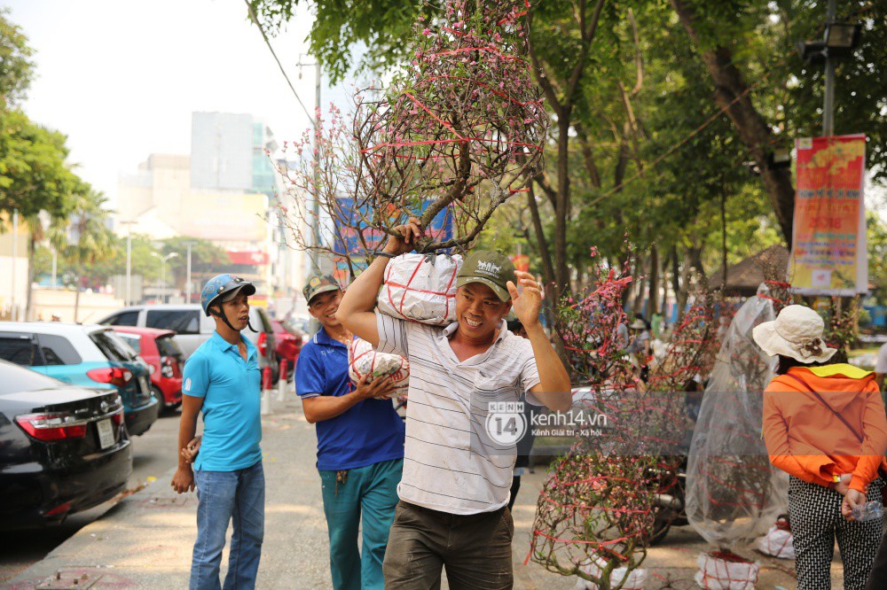 Clip: Không bán hết hàng trưa 30 Tết, nhiều tiểu thương tự tay đập nát chậu hoa, vứt vào thùng rác
