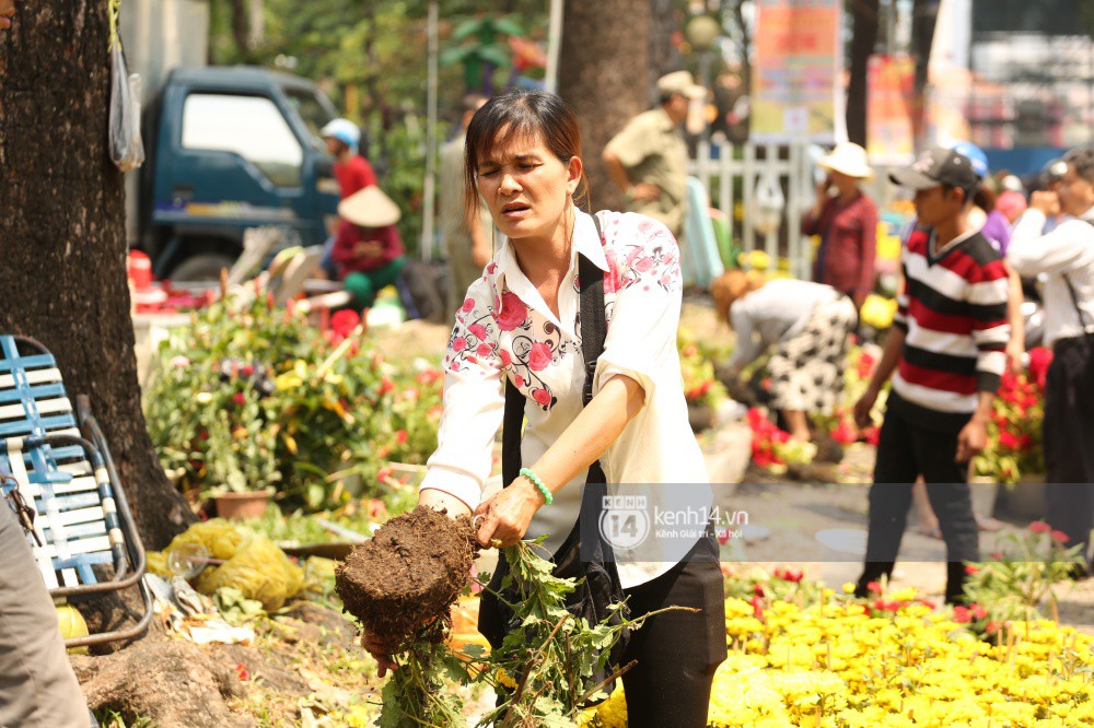 Clip: Không bán hết hàng trưa 30 Tết, nhiều tiểu thương tự tay đập nát chậu hoa, vứt vào thùng rác Clip: Không bán hết hàng trưa 30 Tết, nhiều tiểu thương tự tay đập nát chậu hoa, vứt vào thùng rác