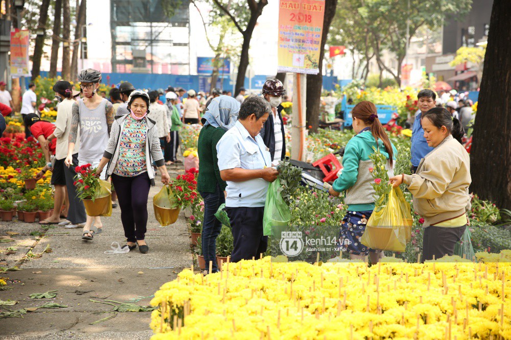 Clip: Không bán hết hàng trưa 30 Tết, nhiều tiểu thương tự tay đập nát chậu hoa, vứt vào thùng rác