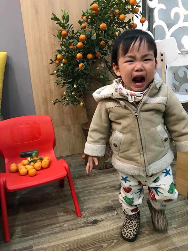 30 chưa phải Tết, bằng chứng là ông bố này: Mua cây quất chưa chơi Tết, con đã vặt sạch