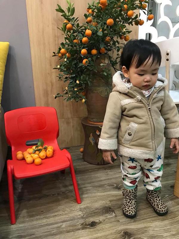 30 chưa phải Tết, bằng chứng là ông bố này: Mua cây quất chưa chơi Tết, con đã vặt sạch