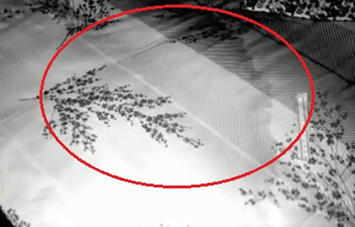 Nữ bác sĩ mất mạng khi tỉnh giấc phát hiện kẻ đột nhập