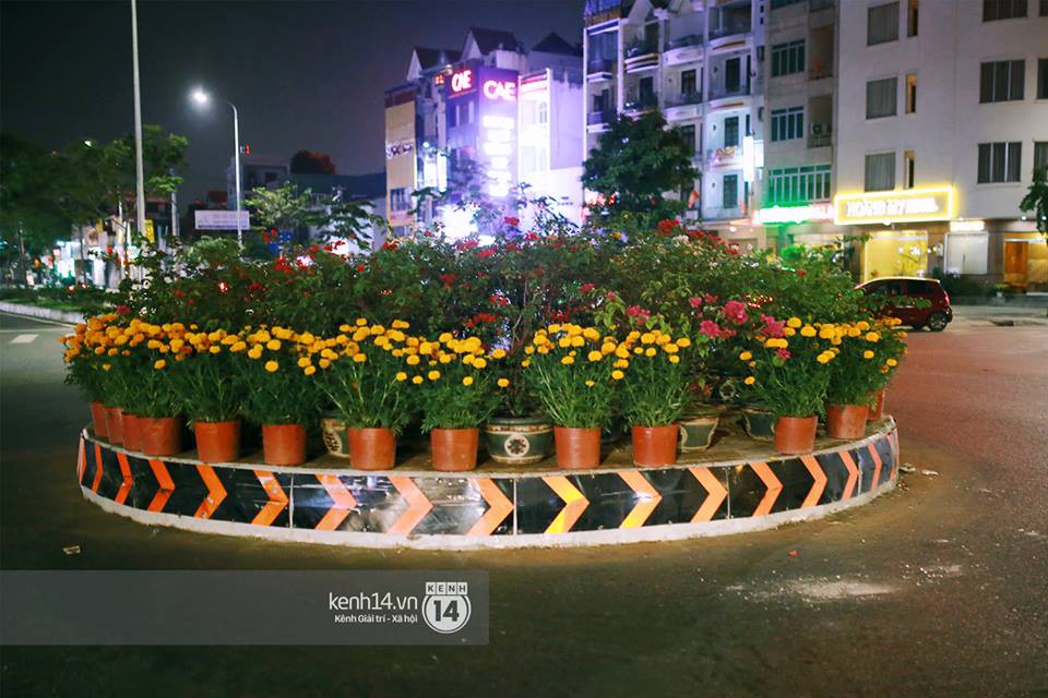 Câu chuyện đáng yêu về hai vợ chồng dịu dàng giữa thịnh nộ: Mang hoa ế 30 Tết trang trí cho vòng xoay ở Sài Gòn