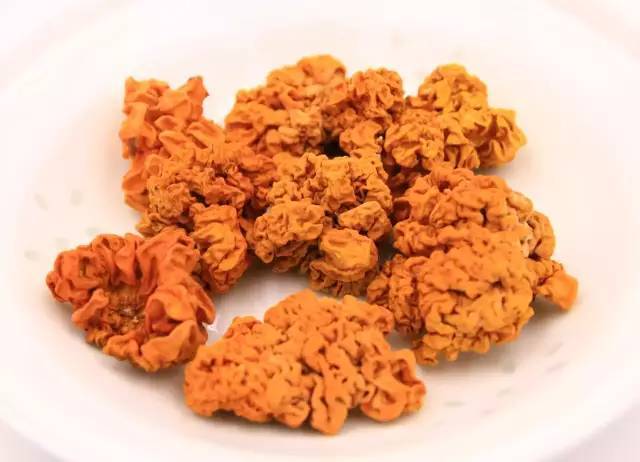 Kỳ lạ giống mộc nhĩ vàng siêu hiếm, giá 6,5 triệu VNĐ/kg