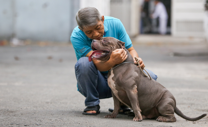 Người đàn ông nuôi chó giá chục nghìn đô ở Sài Gòn