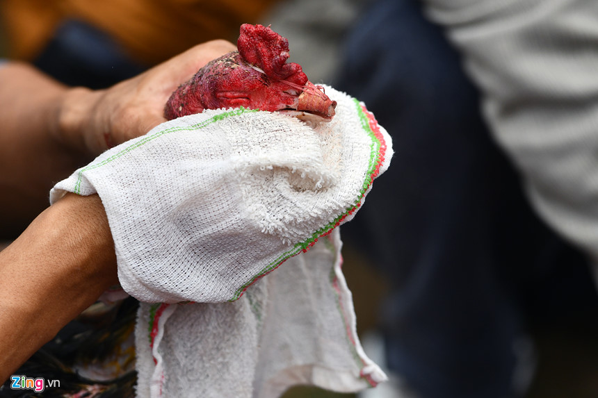 Nghìn người có mặt ở sân chọi gà ngày đầu năm mới