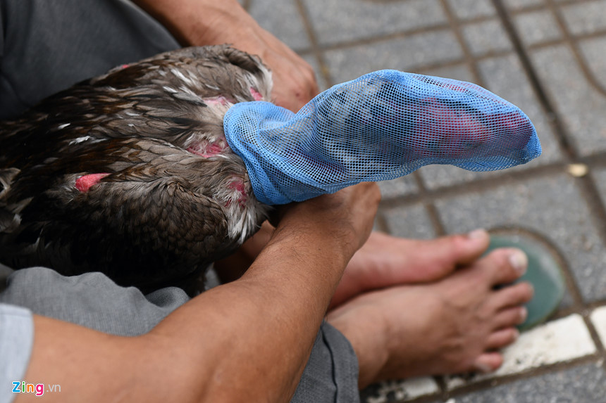 Nghìn người có mặt ở sân chọi gà ngày đầu năm mới