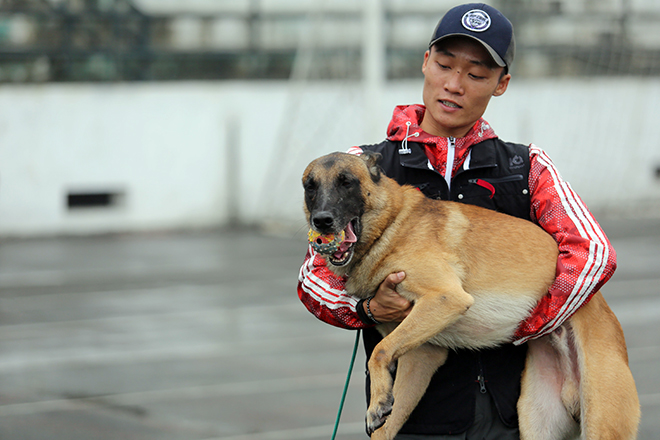 Ly kỳ thú chơi chó chăn cừu có giá đắt ngang ô tô của người Hà Nội