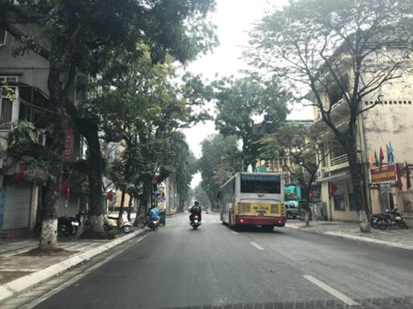 Tự thú của một lái xe ngày Tết