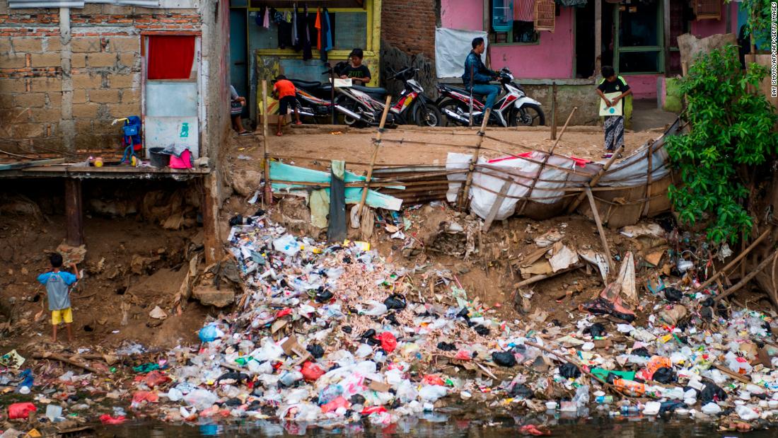 Hổ mang chúa tràn lan thành phố lớn nhất Indonesia