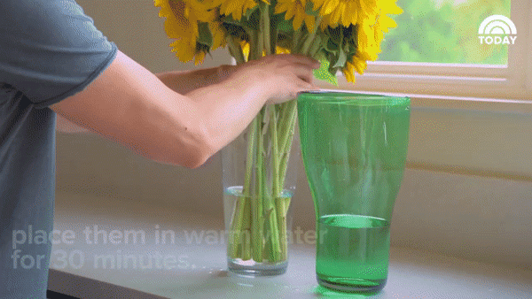 Hồi sinh lọ hoa sắp héo bằng 7 bí kíp độc mà các cửa hàng hoa ít tiết lộ