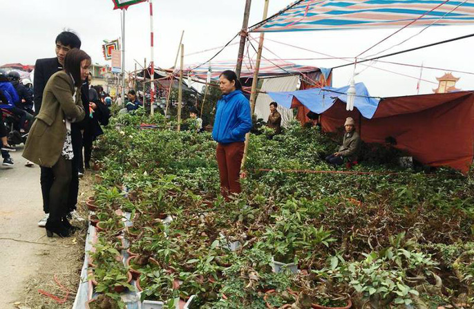 Biển người đang ùn ùn đổ về phiên chợ mua may bán rủi Biển người đang ùn ùn đổ về phiên chợ mua may bán rủi