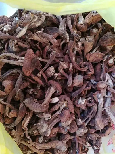 Bố mẹ chất đồ quê đầy ôtô cho con lên thành phố