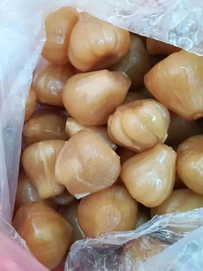 Bố mẹ chất đồ quê đầy ôtô cho con lên thành phố