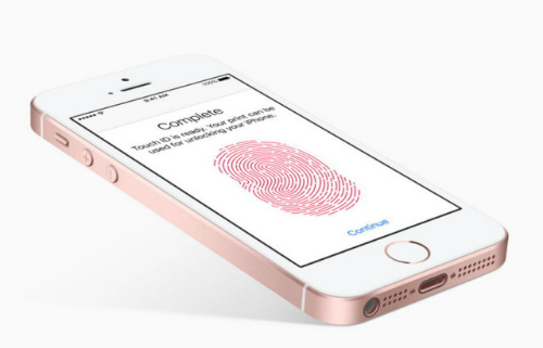 iPhone SE 2 sẽ có màn hình lớn hơn bản cũ iPhone SE 2 sẽ có màn hình lớn hơn bản cũ