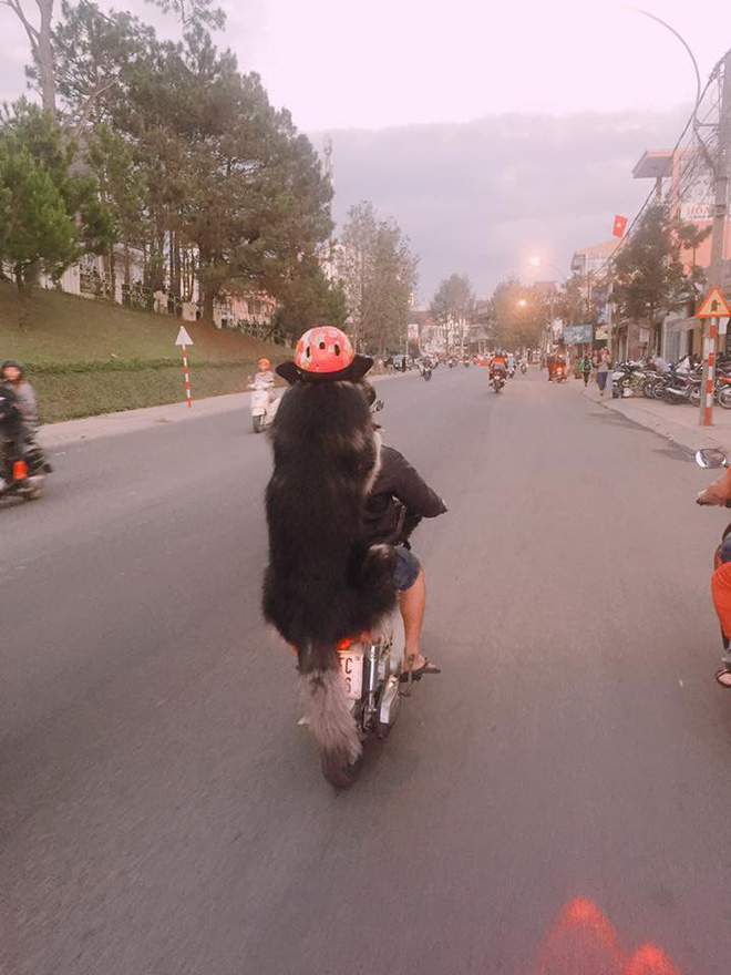 Vị khách ngồi sau xe máy khiến người đi đường phải lôi máy điện thoại ra quay