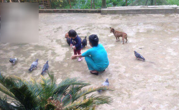 Lúc đưa dâu, họ hàng tới nhà trai nhiều người nhìn căn nhà cười khẩy: Câu chuyện hút gần 10 ngàn like chứng minh vẫn còn túp lều tranh và trái tim vàng