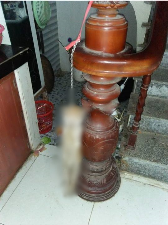 Nam thanh niên treo ngược chú mèo trên cầu thang vì ăn vụng ngày Tết khiến cộng đồng mạng bức xúc