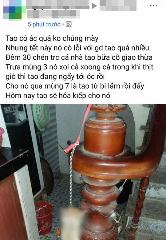 Nam thanh niên treo ngược chú mèo trên cầu thang vì ăn vụng ngày Tết khiến cộng đồng mạng bức xúc