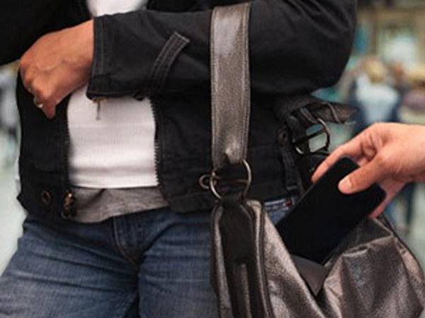 Nhiều du khách bị móc túi tại công viên Đầm Sen