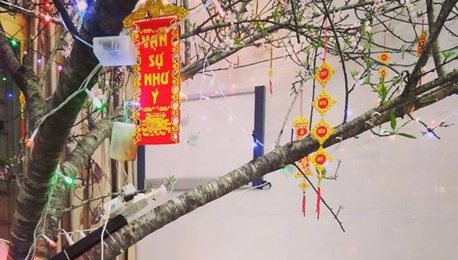 Giao thừa ám ảnh của nữ sinh trường y