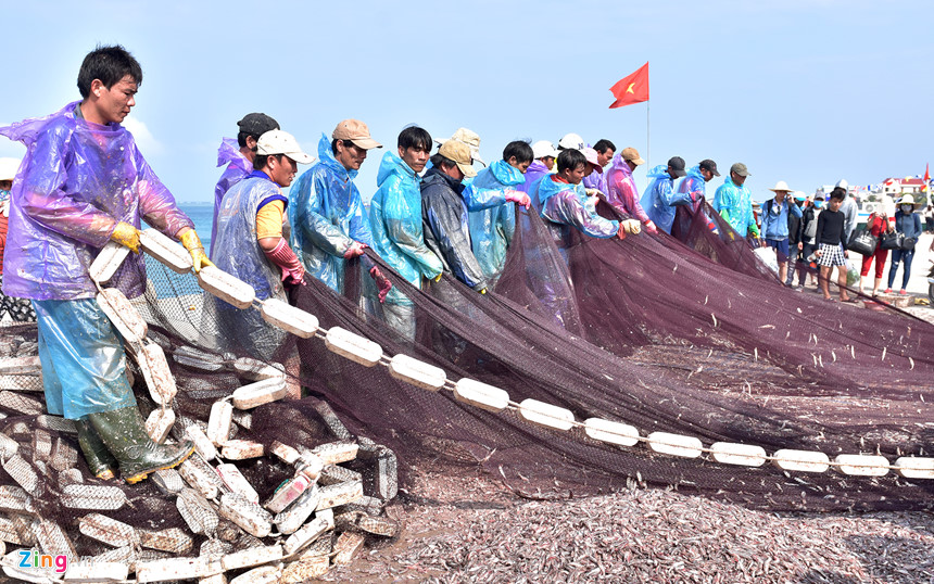 Ngư dân trúng đậm lộc biển đầu năm