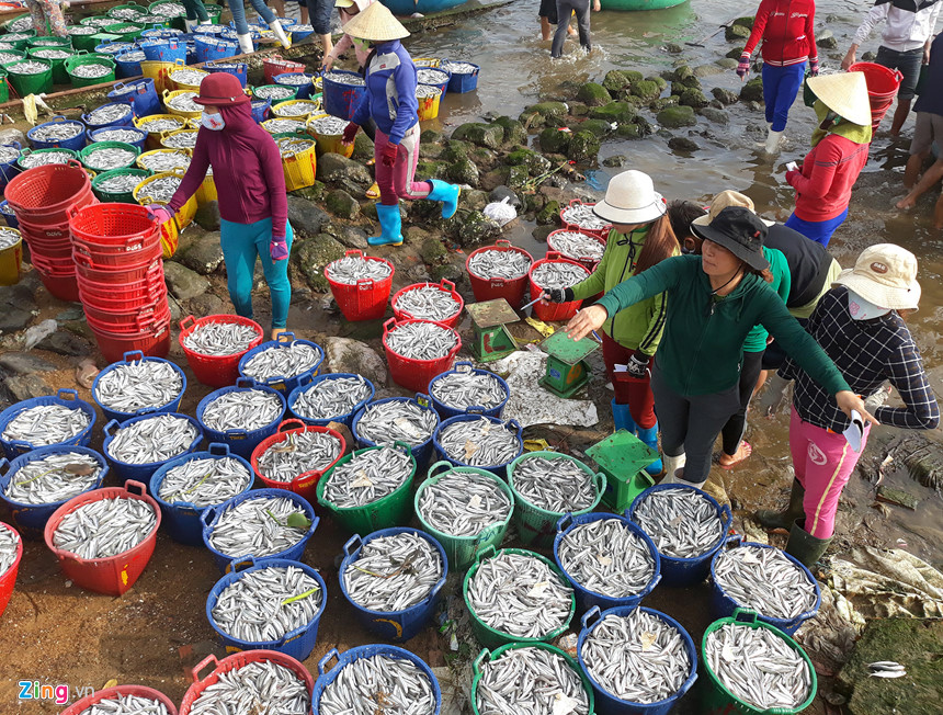 Ngư dân trúng đậm lộc biển đầu năm