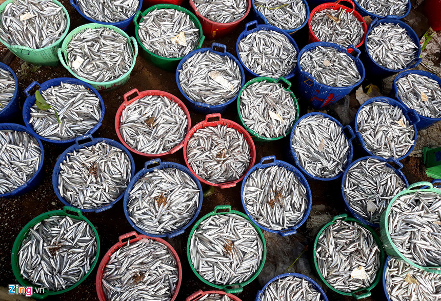 Ngư dân trúng đậm lộc biển đầu năm