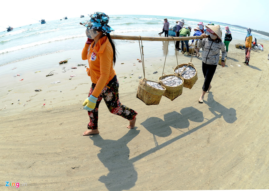 Ngư dân trúng đậm lộc biển đầu năm