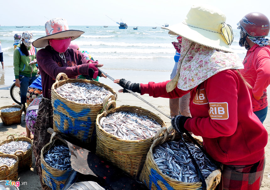 Ngư dân trúng đậm lộc biển đầu năm