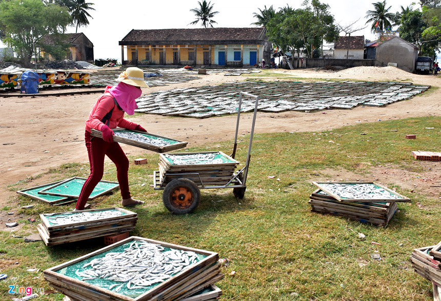 Ngư dân trúng đậm lộc biển đầu năm