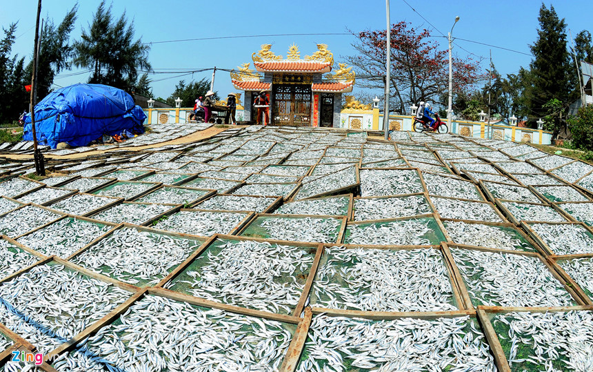 Ngư dân trúng đậm lộc biển đầu năm