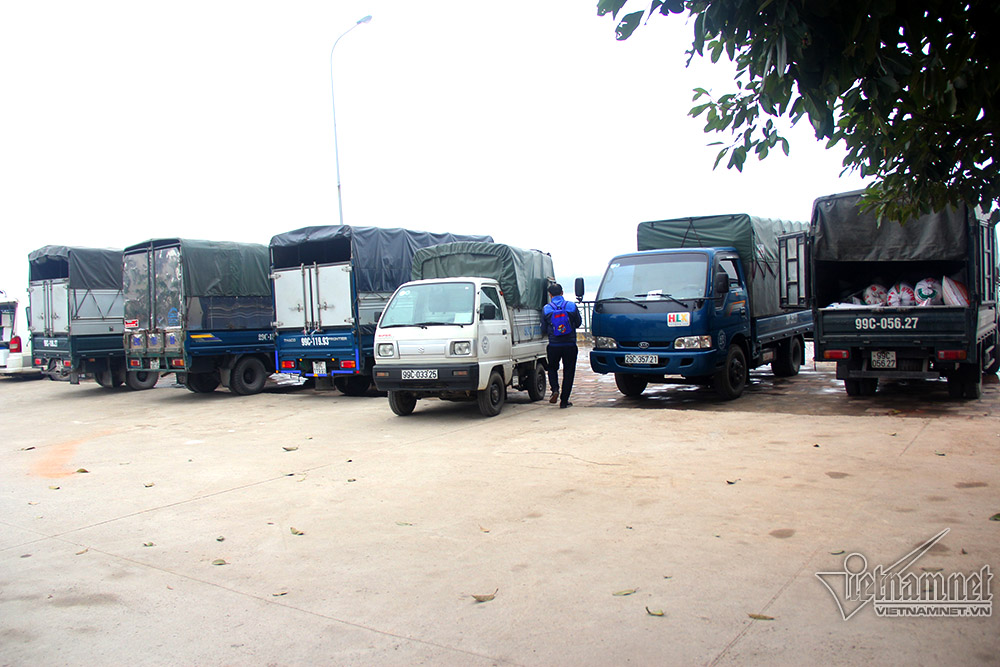 Hà Nội: Cảnh phóng sinh cá lớn nhất trong năm ở sông Hồng