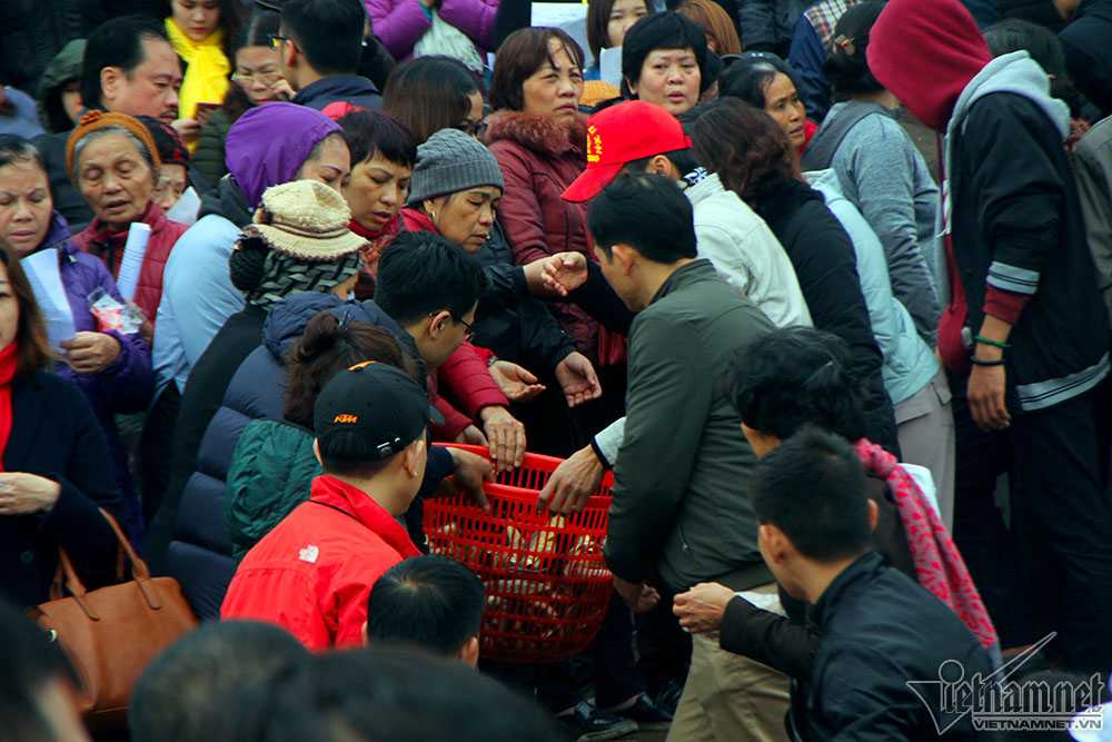 Hà Nội: Cảnh phóng sinh cá lớn nhất trong năm ở sông Hồng