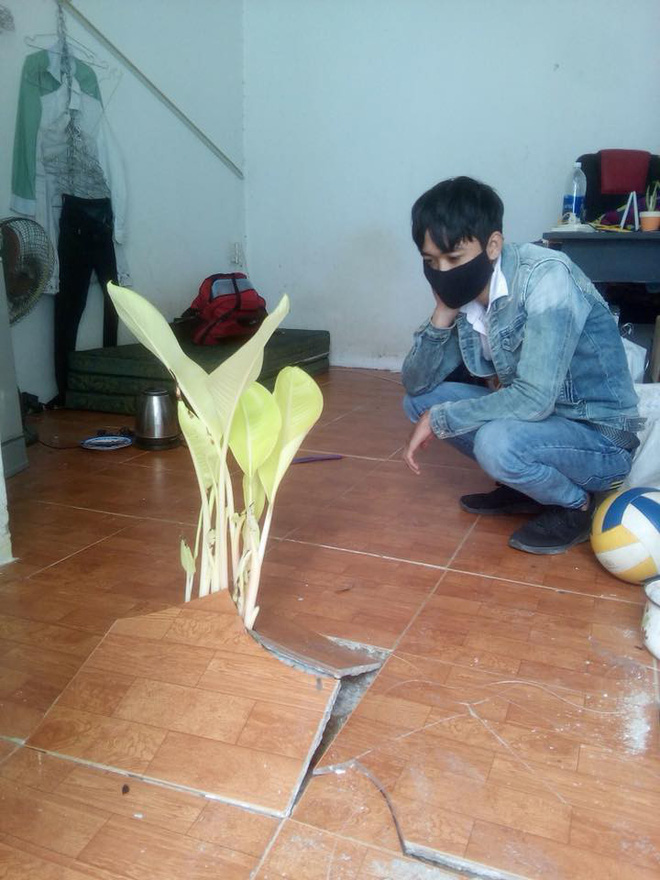 Lên phòng trọ sau kỳ nghỉ Tết, chàng trai ngỡ ngàng vì vật thể lạ xuất hiện giữa nhà