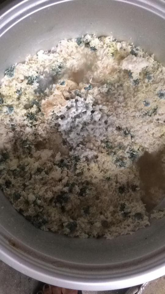 Lên phòng trọ sau kỳ nghỉ Tết, chàng trai ngỡ ngàng vì vật thể lạ xuất hiện giữa nhà