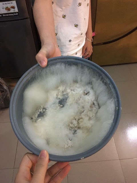 Lên phòng trọ sau kỳ nghỉ Tết, chàng trai ngỡ ngàng vì vật thể lạ xuất hiện giữa nhà