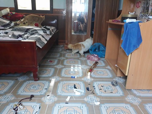 Lên phòng trọ sau kỳ nghỉ Tết, chàng trai ngỡ ngàng vì vật thể lạ xuất hiện giữa nhà