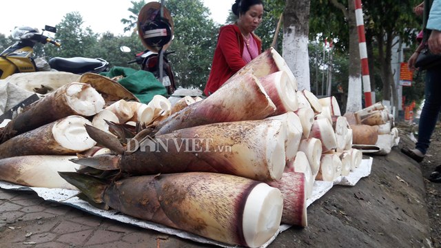 Người dân miền Tây xứ Nghệ trúng đậm lộc rừng đầu năm