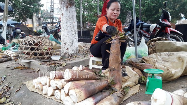 Người dân miền Tây xứ Nghệ trúng đậm lộc rừng đầu năm